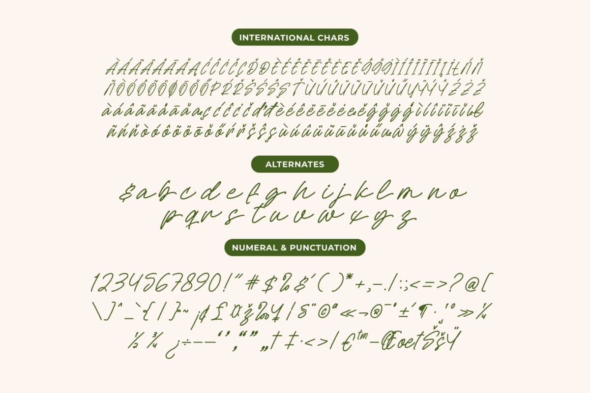 Preview 13 for Sejatty Gartena - Aesthetic Handwritten Font