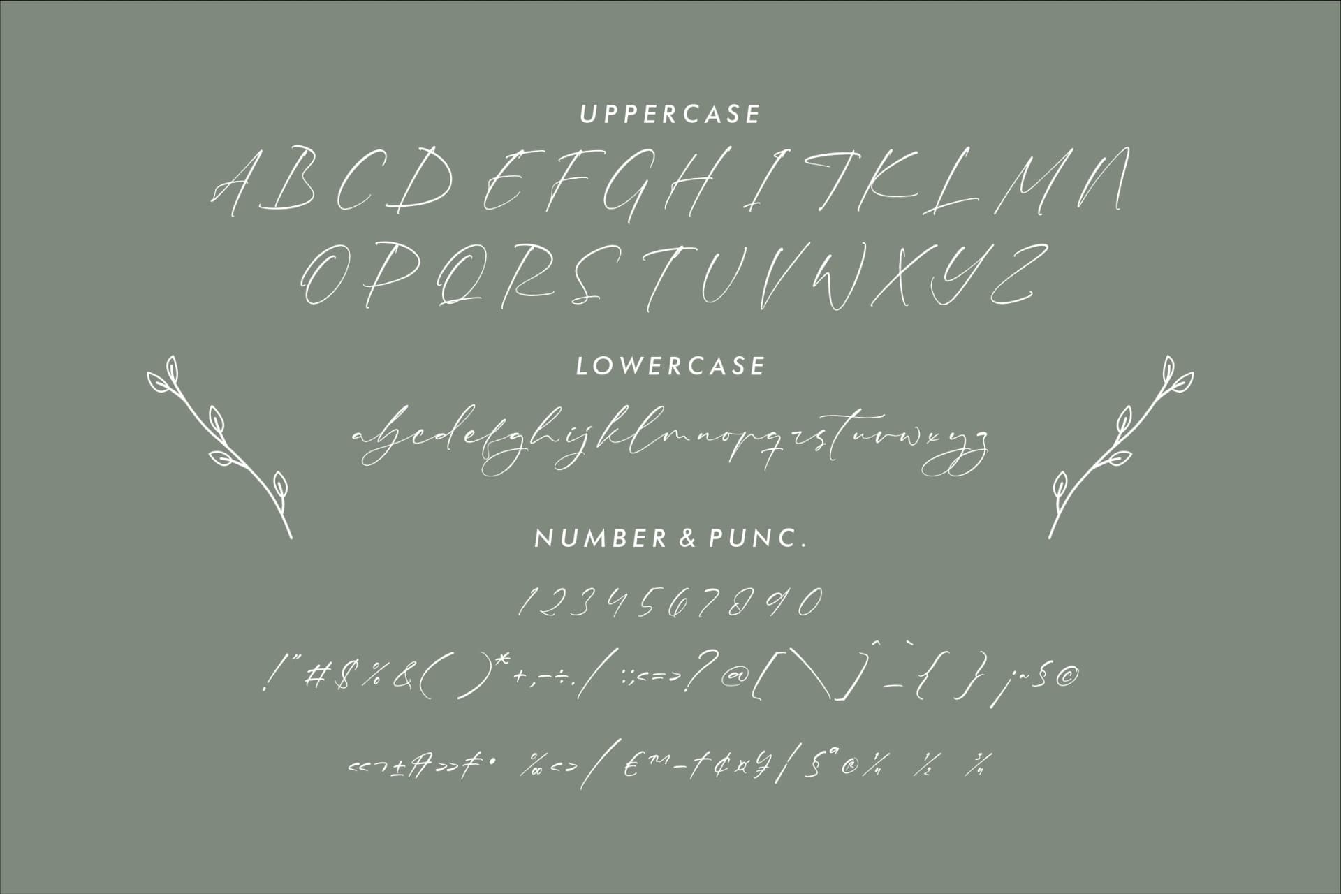 Preview 13 for Rhastela Greams - Modern Signature Font