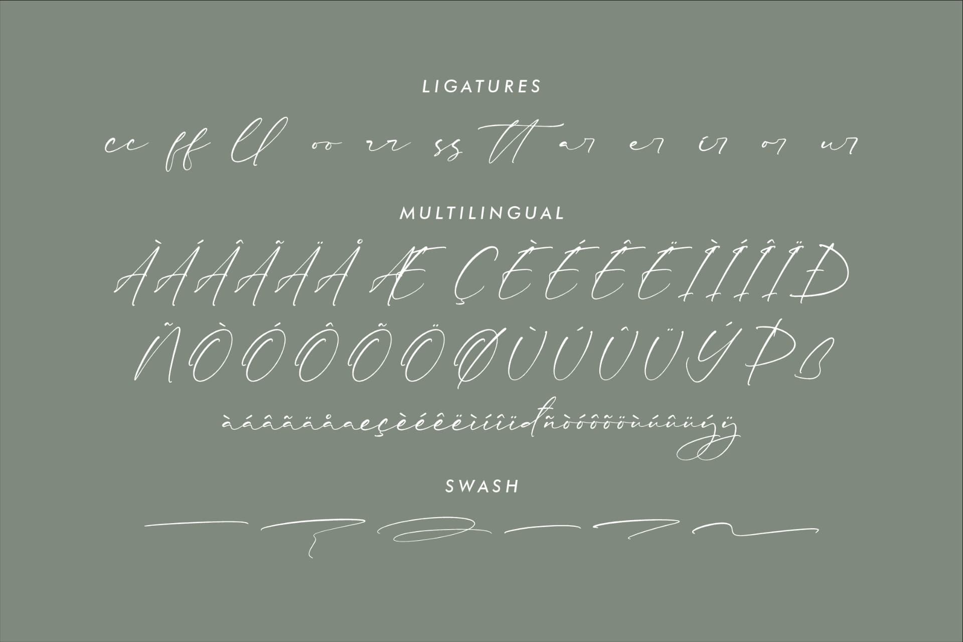 Preview 14 for Rhastela Greams - Modern Signature Font