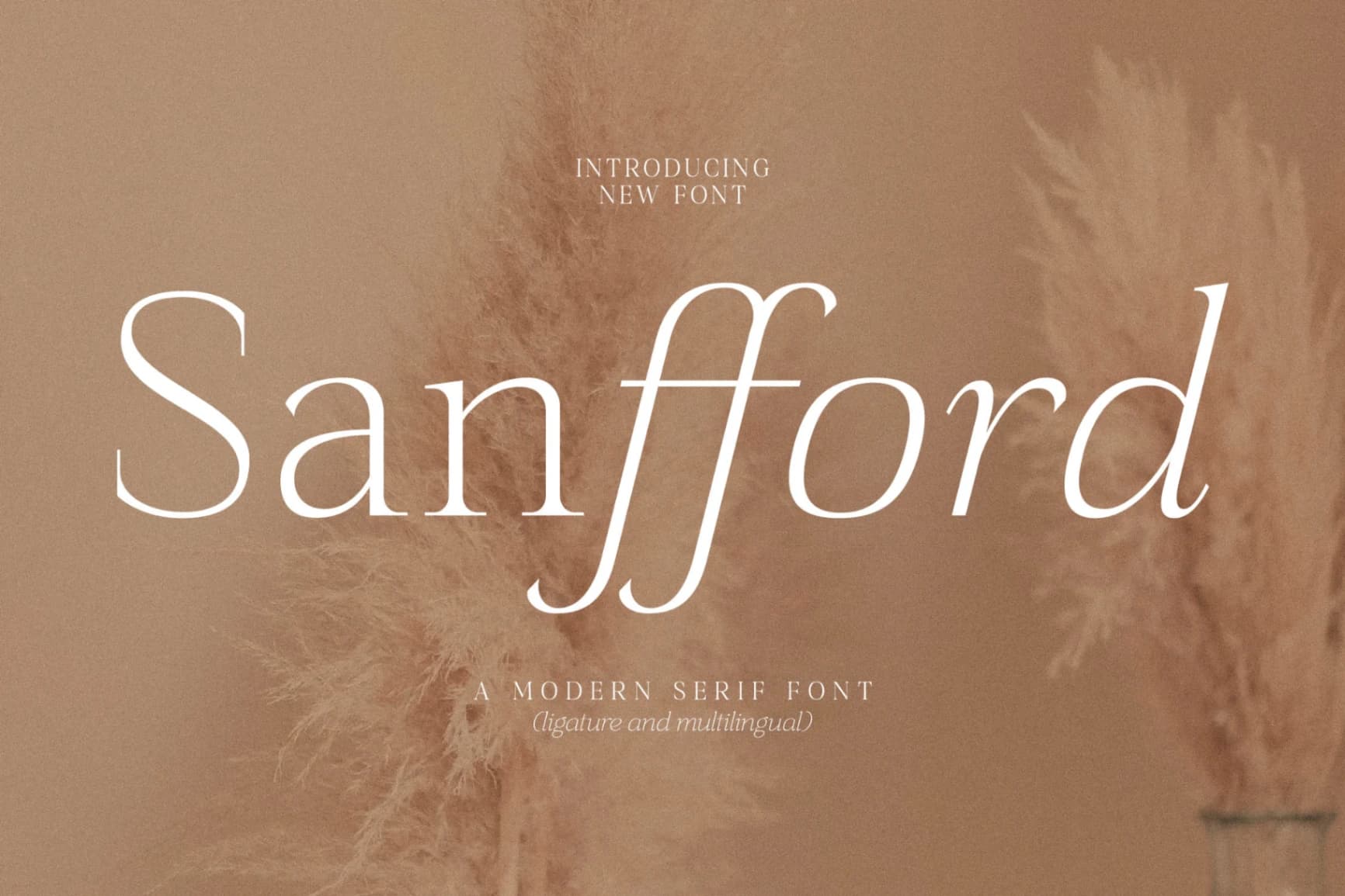 Preview of Sanfford - Modern Serif Font font