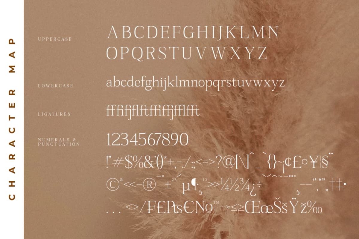 Preview 13 for Sanfford - Modern Serif Font