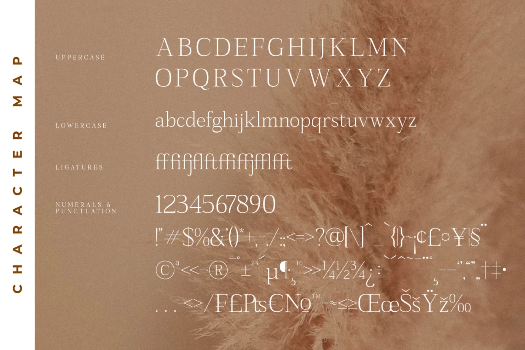 Preview 13 for Sanfford - Modern Serif Font