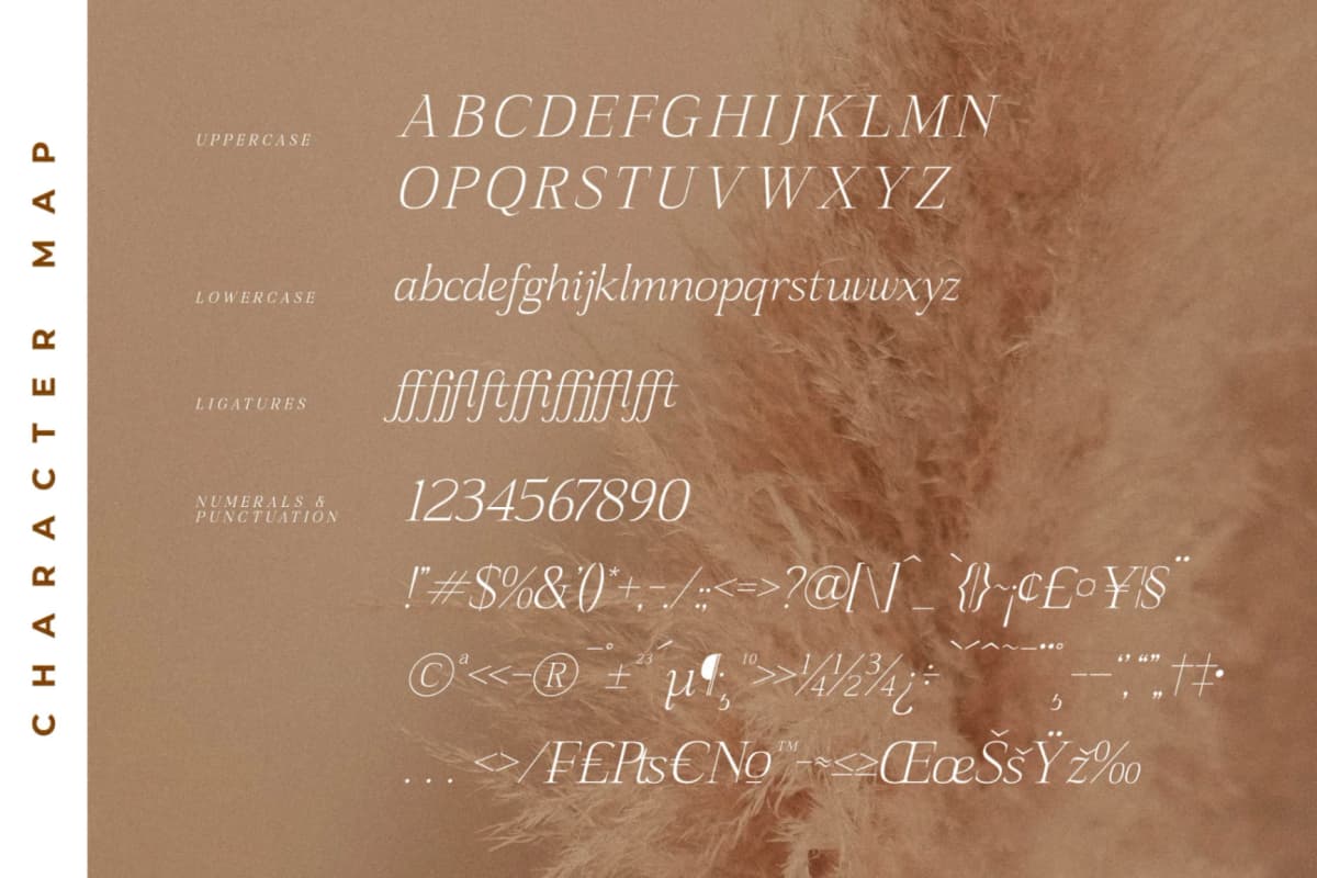 Preview 14 for Sanfford - Modern Serif Font
