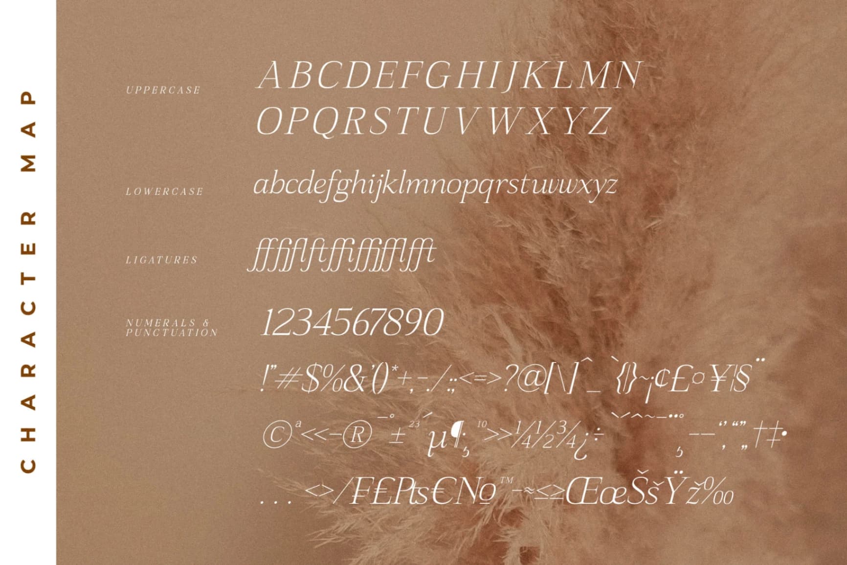 Preview 14 for Sanfford - Modern Serif Font