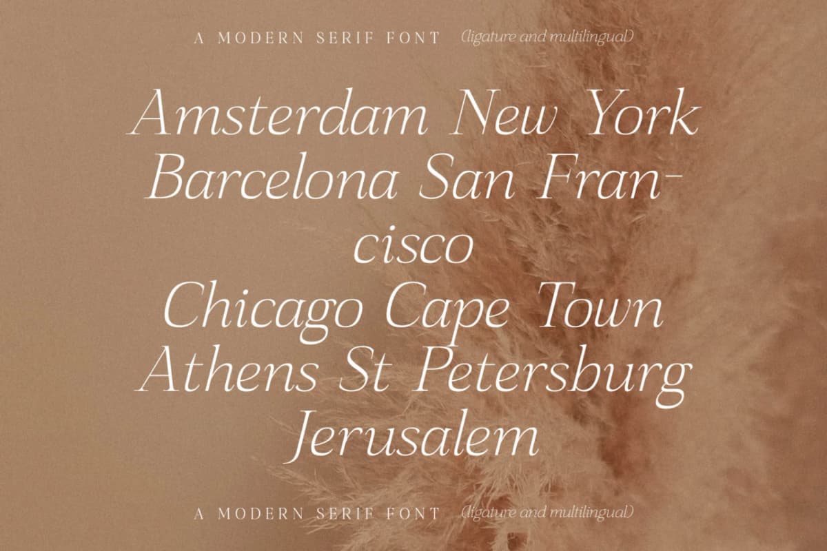Preview 10 for Sanfford - Modern Serif Font
