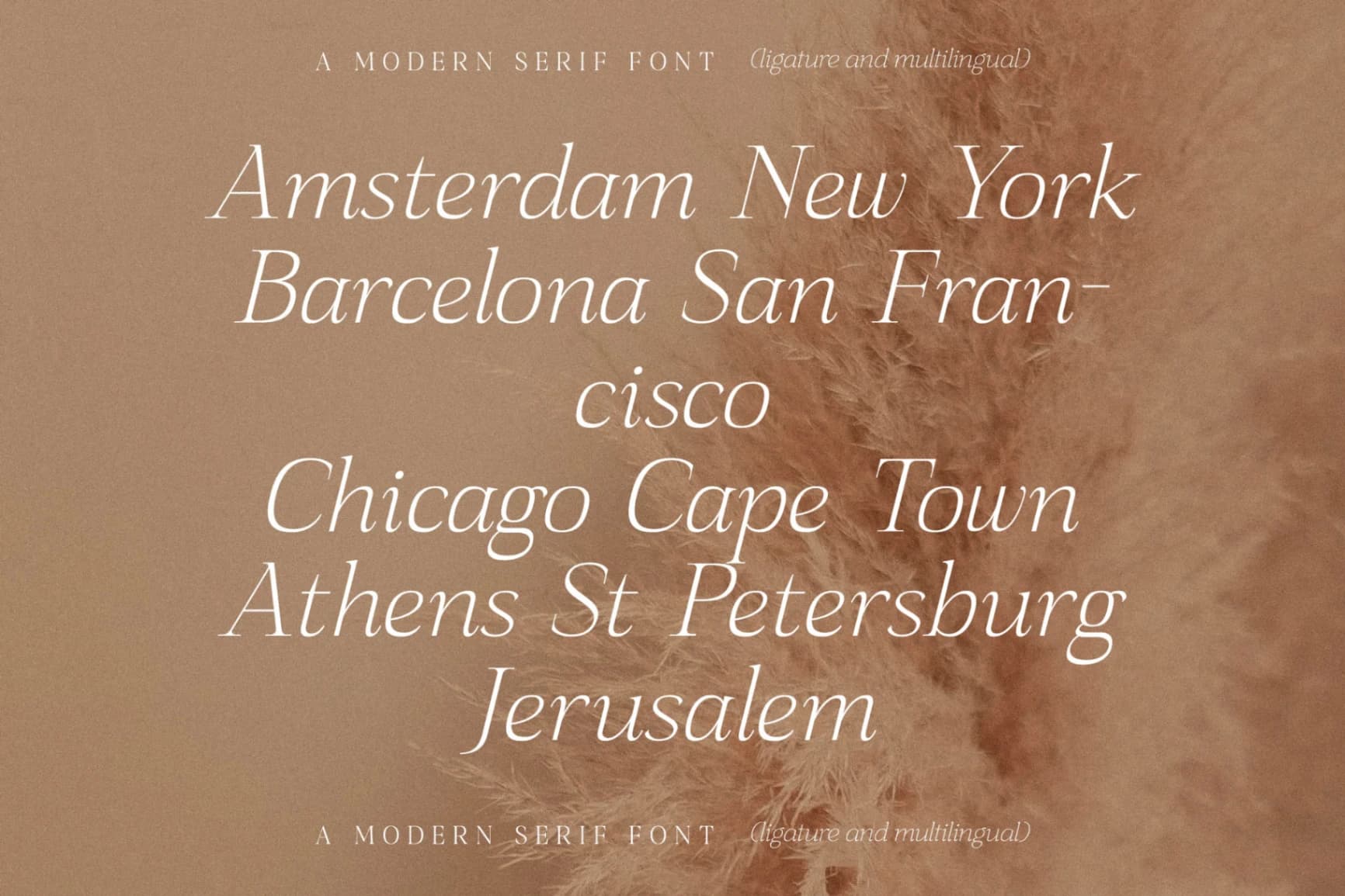 Preview 10 for Sanfford - Modern Serif Font