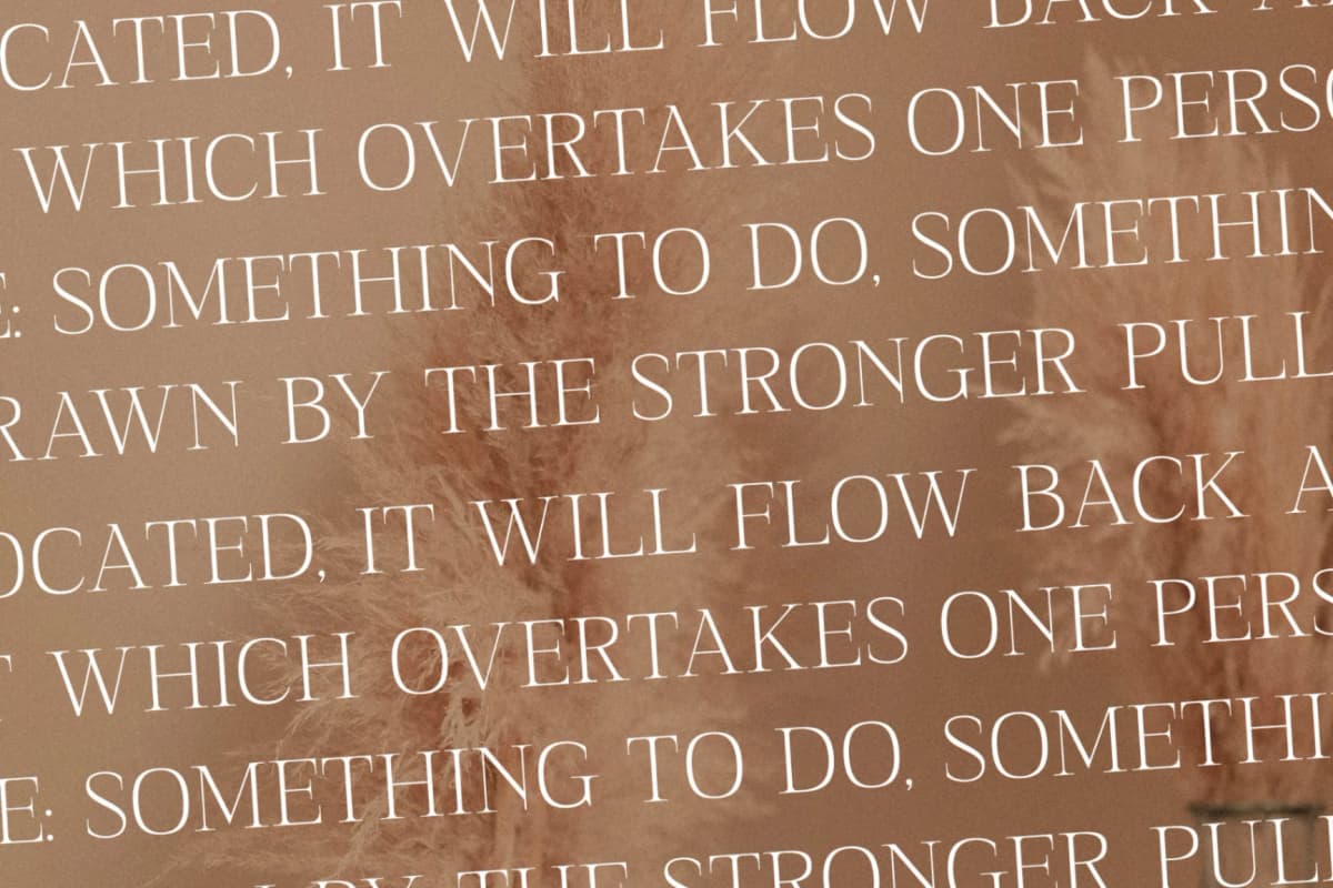 Preview 9 for Sanfford - Modern Serif Font