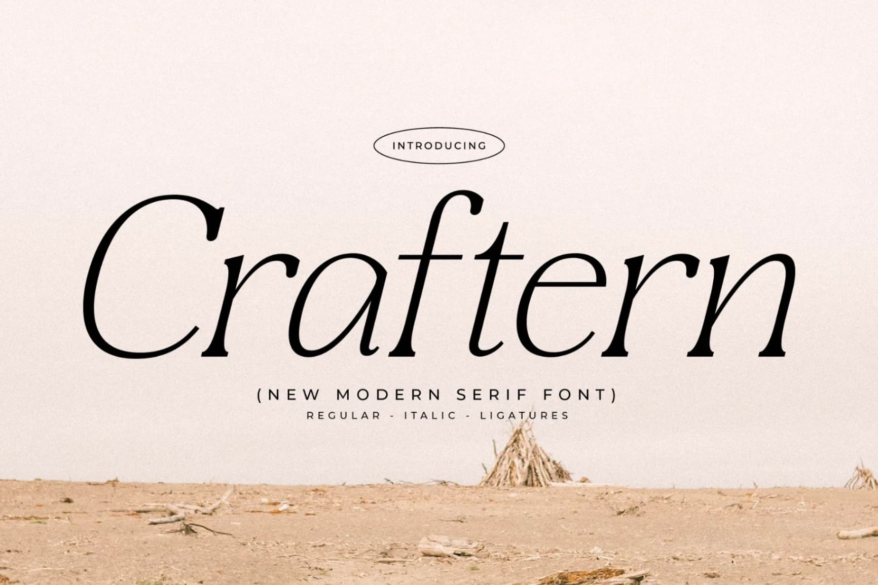 Preview of Craftern - New Modern Serif Font font