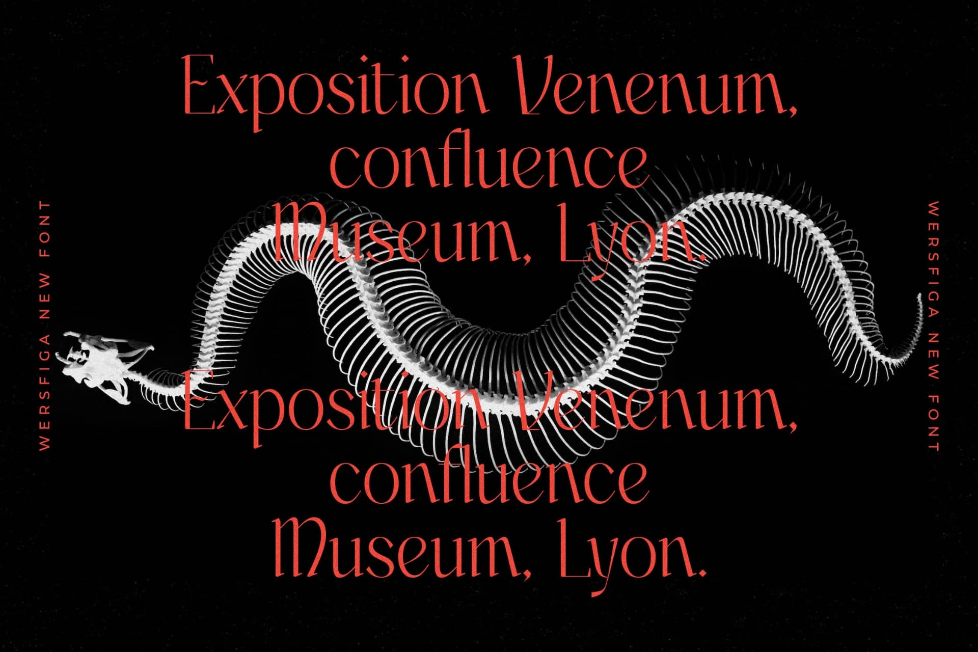 Preview 9 for Wersfiga - Modern Display Serif Font