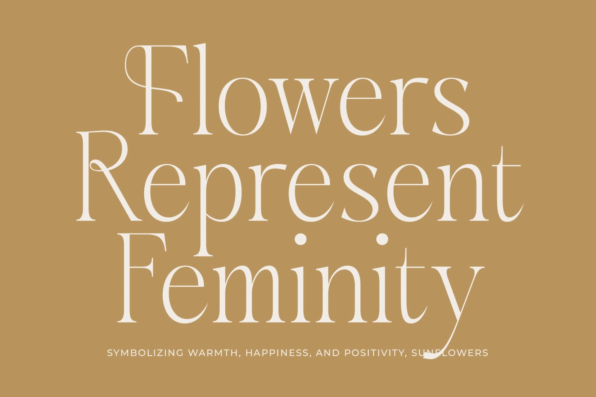 Preview 10 for Aska - Modern Serif Font