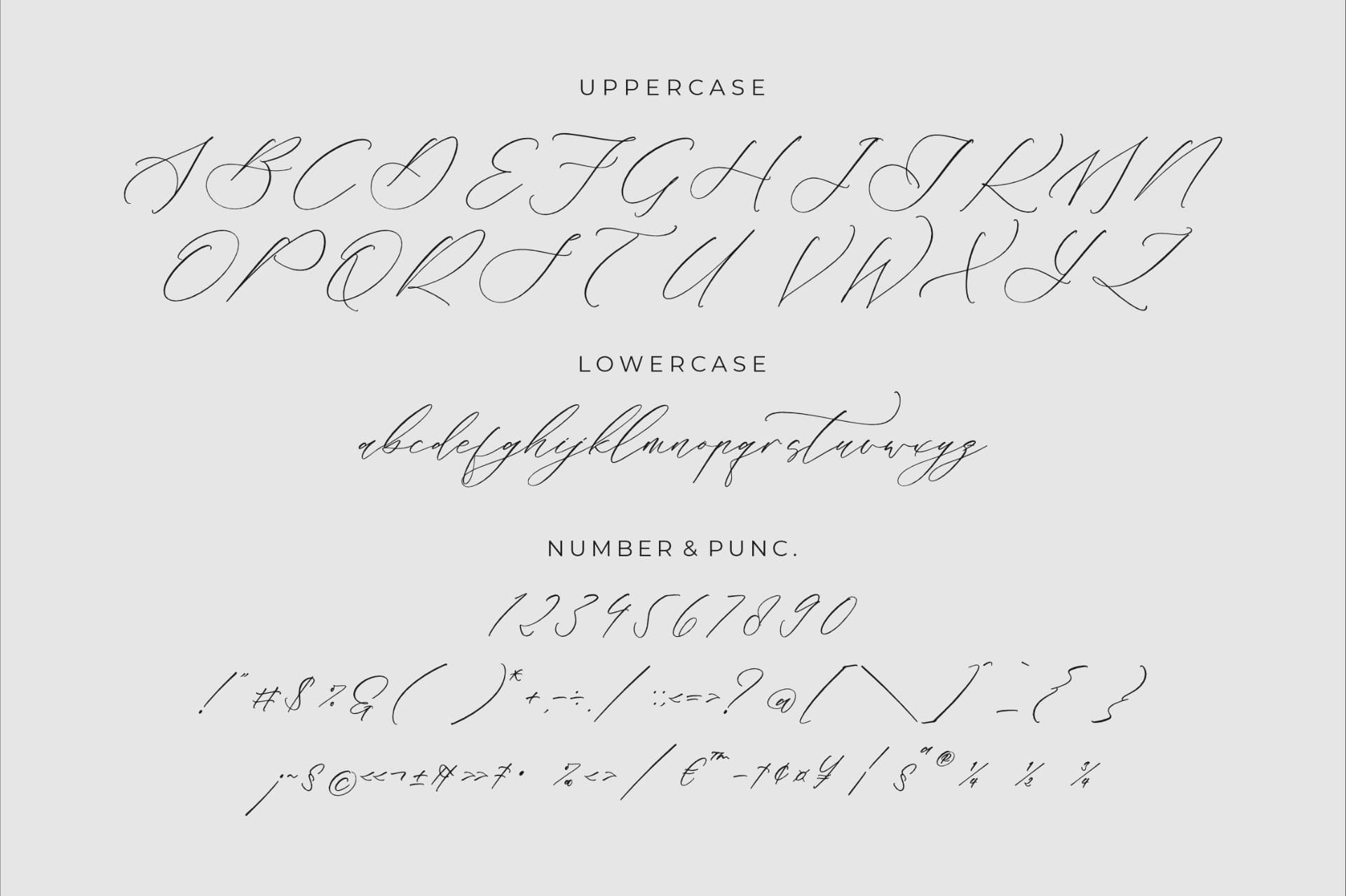 Preview 13 for Liontinela Realise - Chic Calligraphy Font