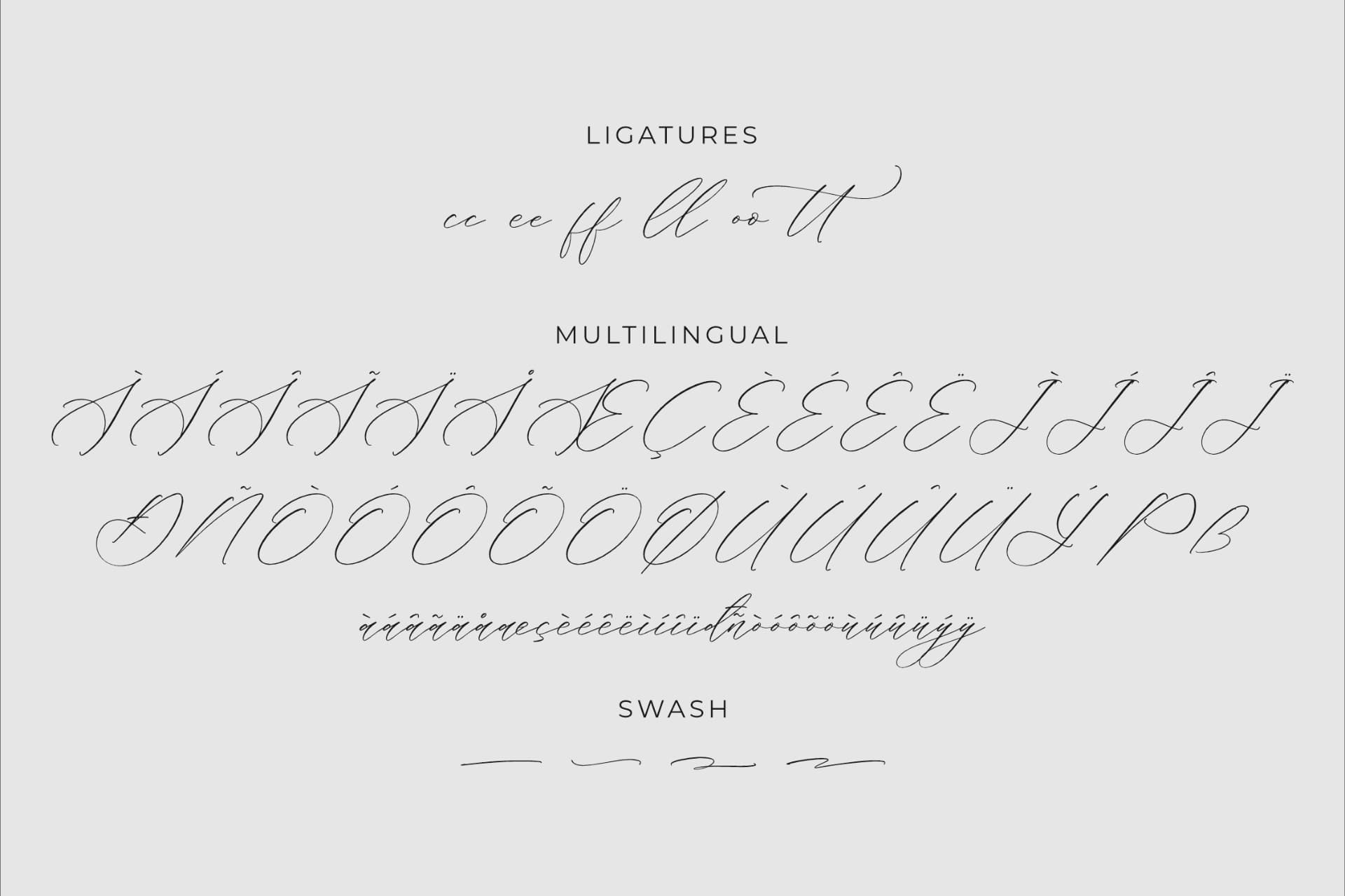 Preview 14 for Liontinela Realise - Chic Calligraphy Font