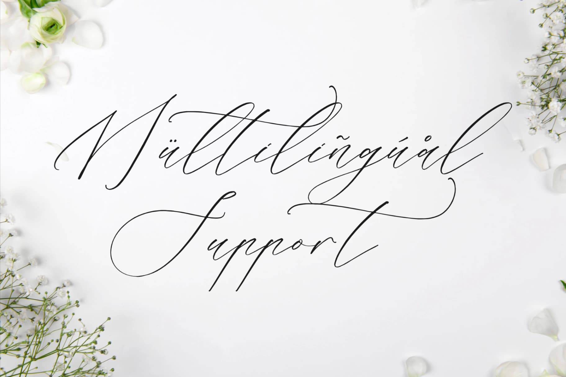 Preview 12 for Liontinela Realise - Chic Calligraphy Font