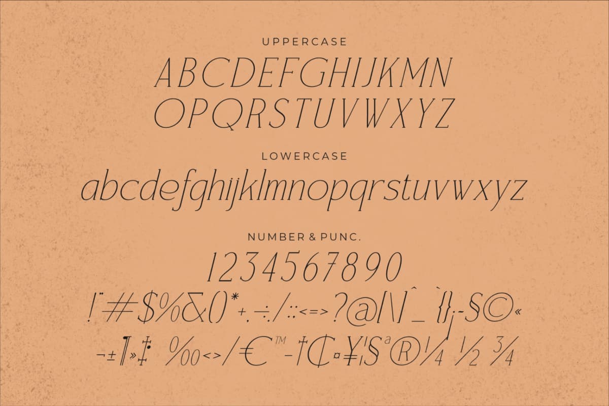 Rampwind - Modern Serif Font font preview 13