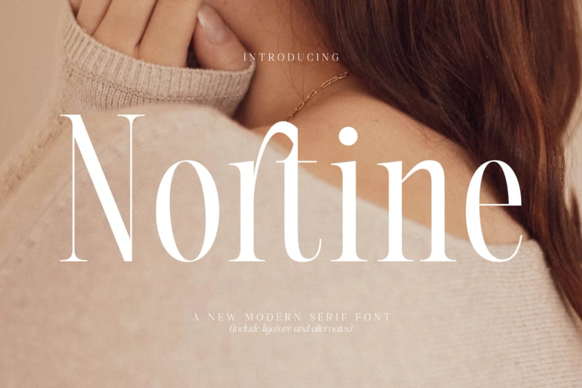 Nortine - A New Modern Serif Font font preview 1