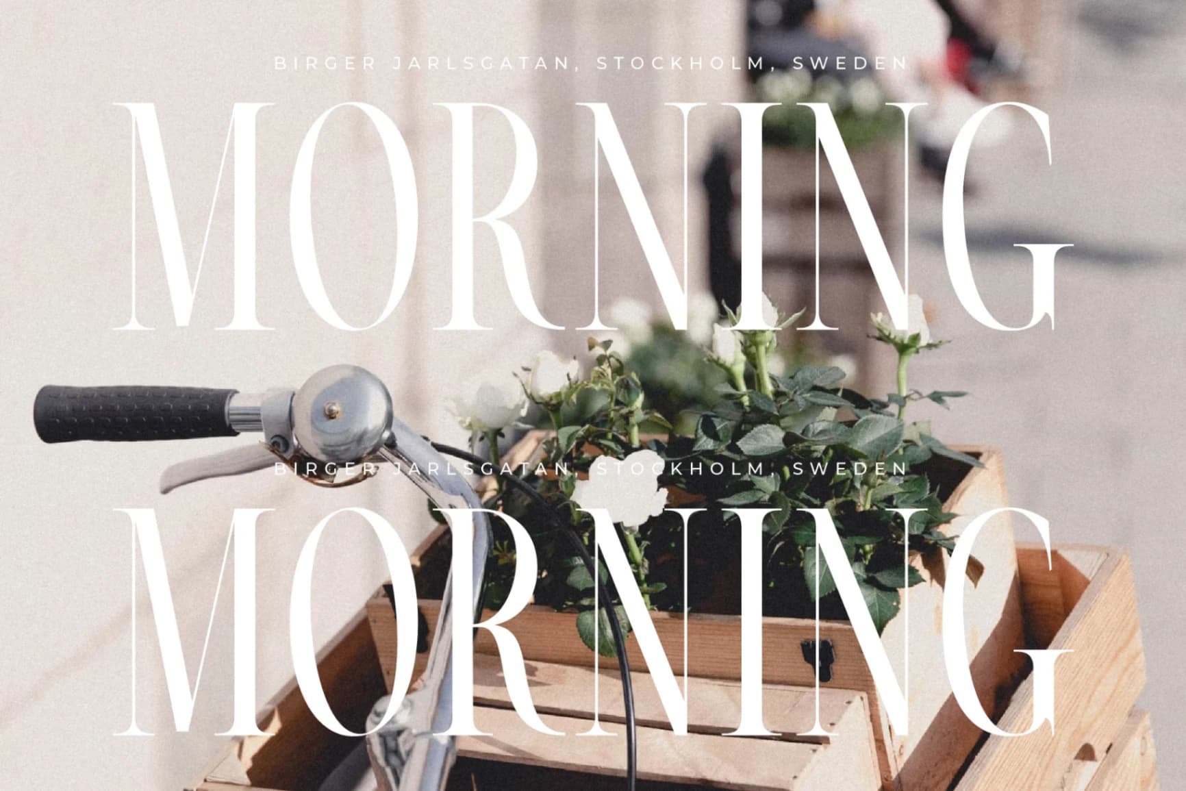 Preview 4 for Nortine - A New Modern Serif Font