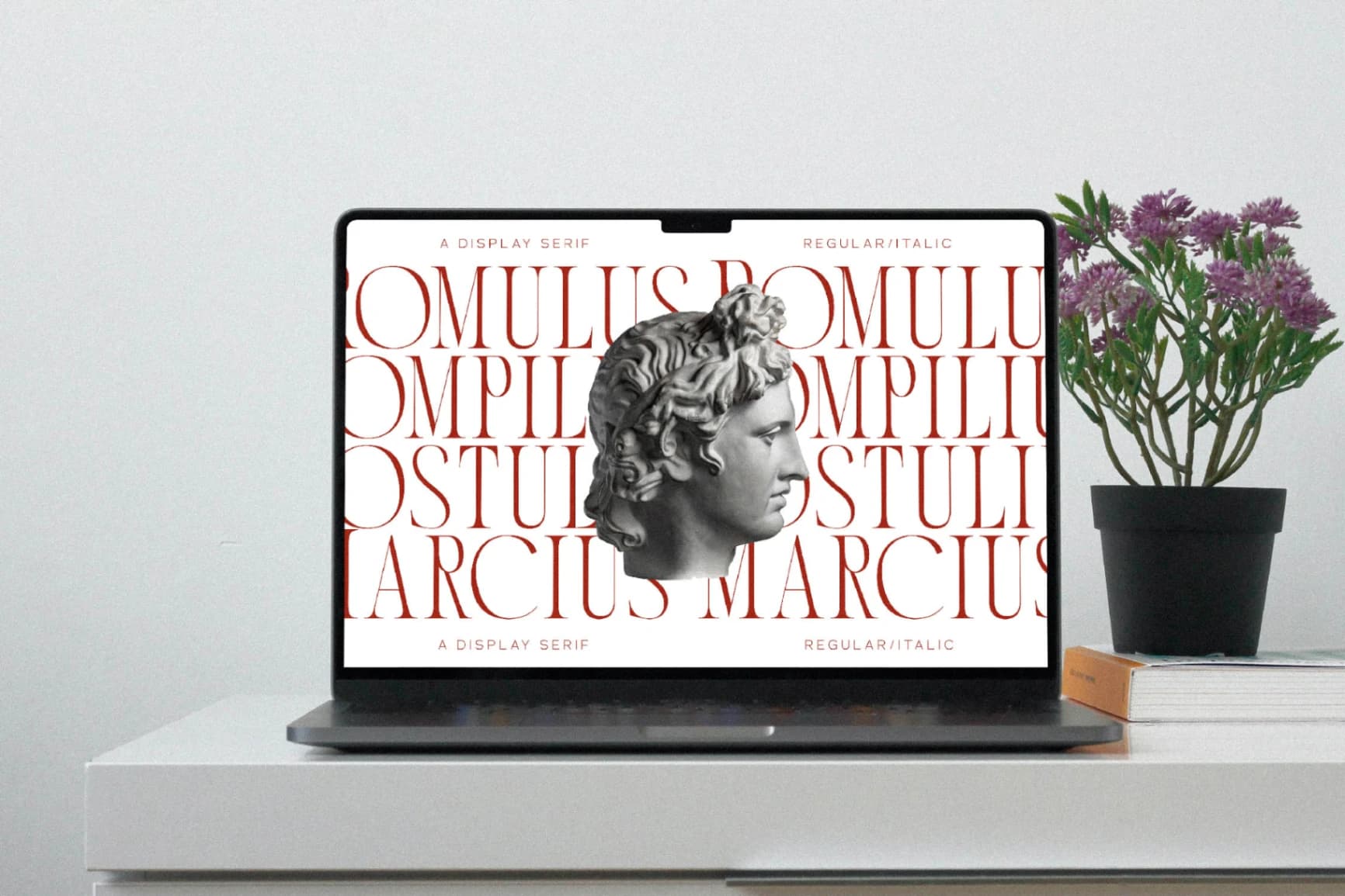 Preview 3 for Ronachy - A Display Serif Font