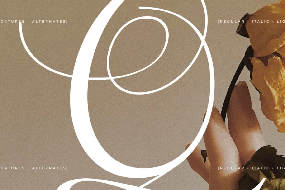 Menasha Brown - New Hybrid Typeface font preview 8