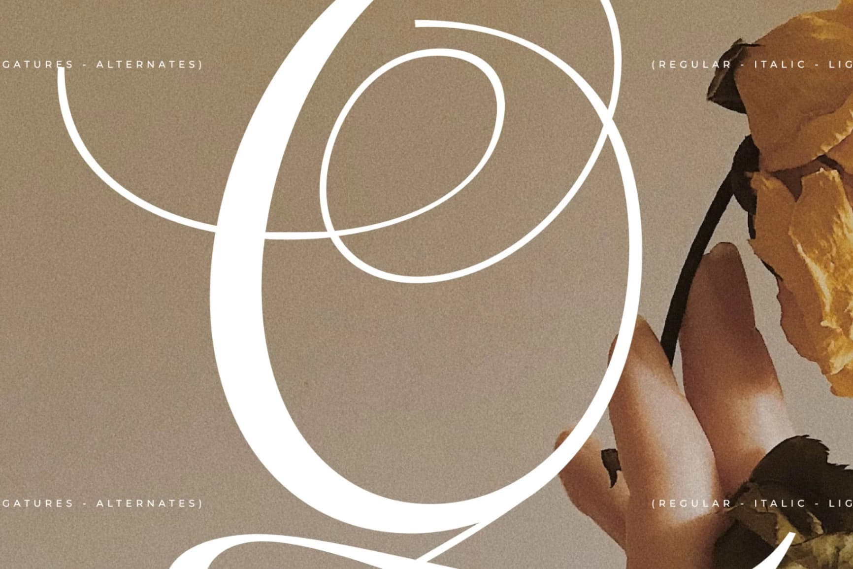 Preview 8 for Menasha Brown - New Hybrid Typeface