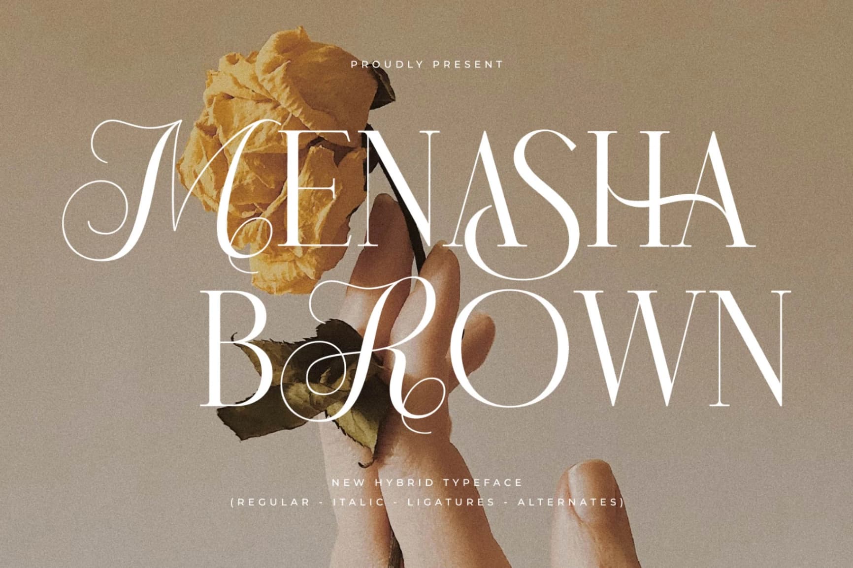 Preview 1 for Menasha Brown - New Hybrid Typeface