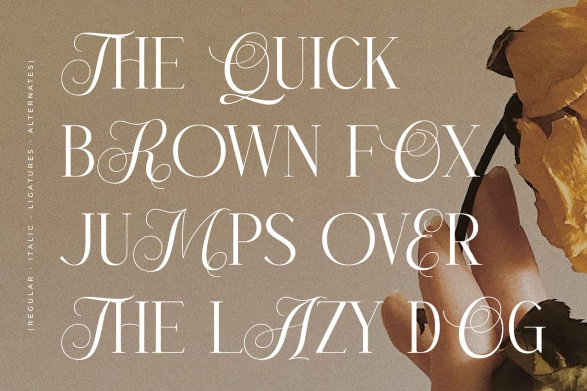 Menasha Brown - New Hybrid Typeface font preview 5