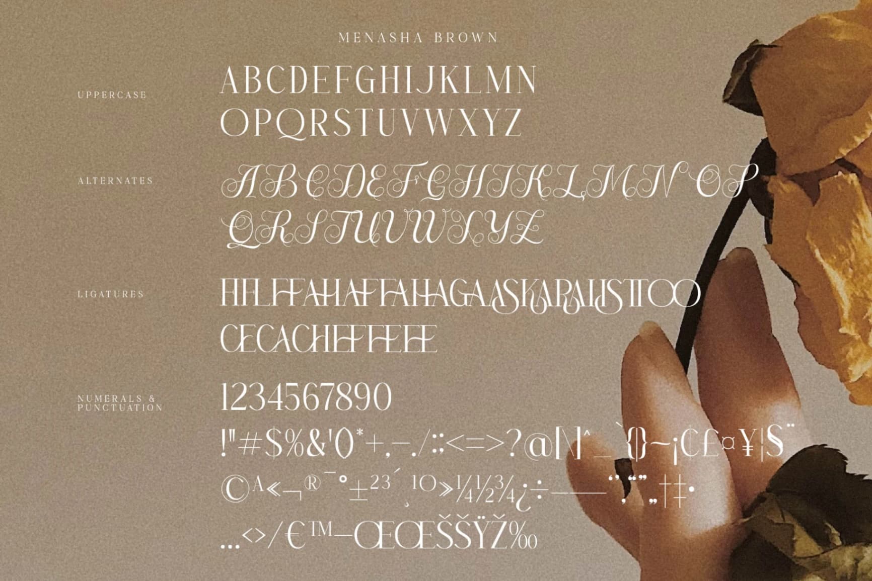 Preview 14 for Menasha Brown - New Hybrid Typeface