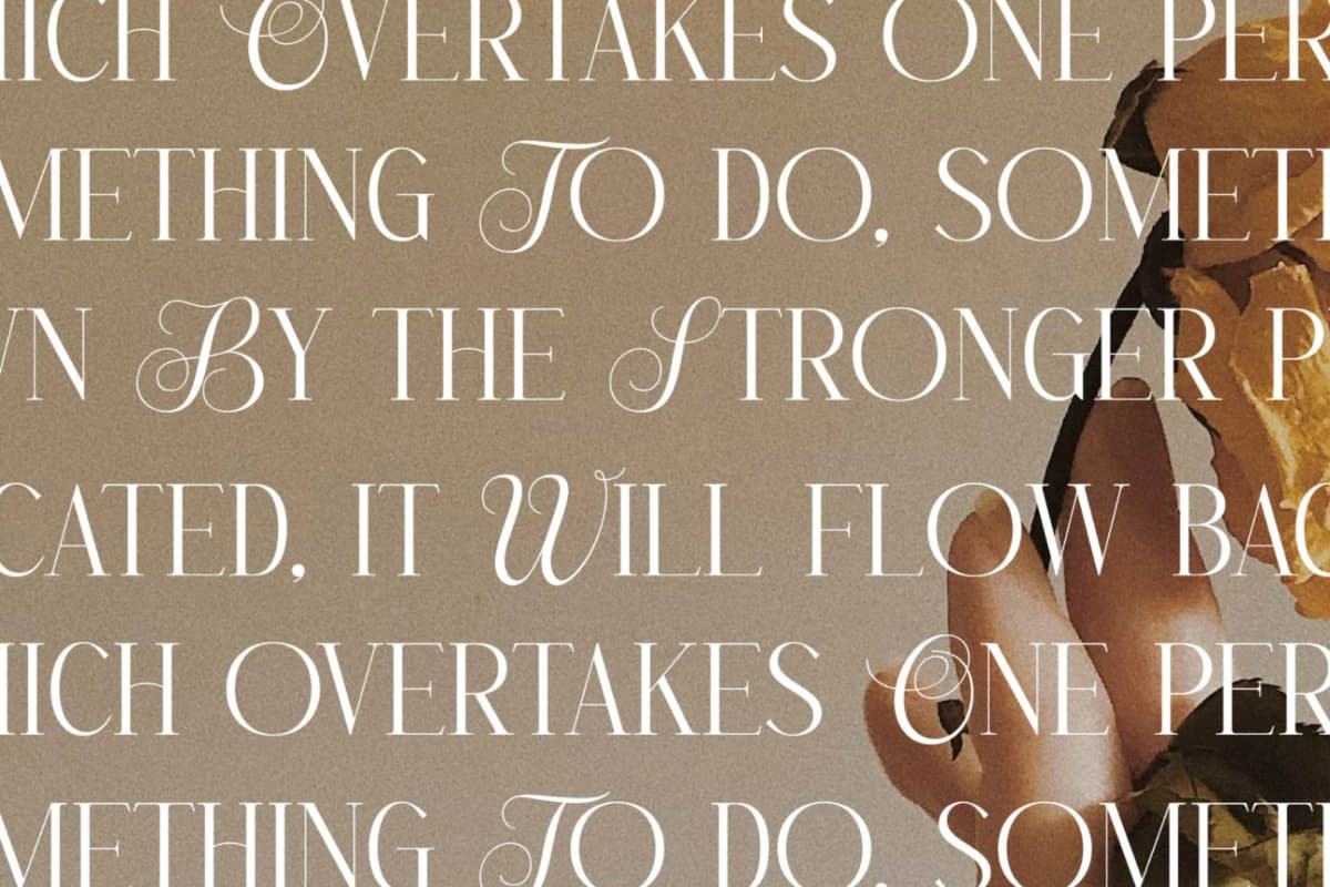 Menasha Brown - New Hybrid Typeface font preview 9