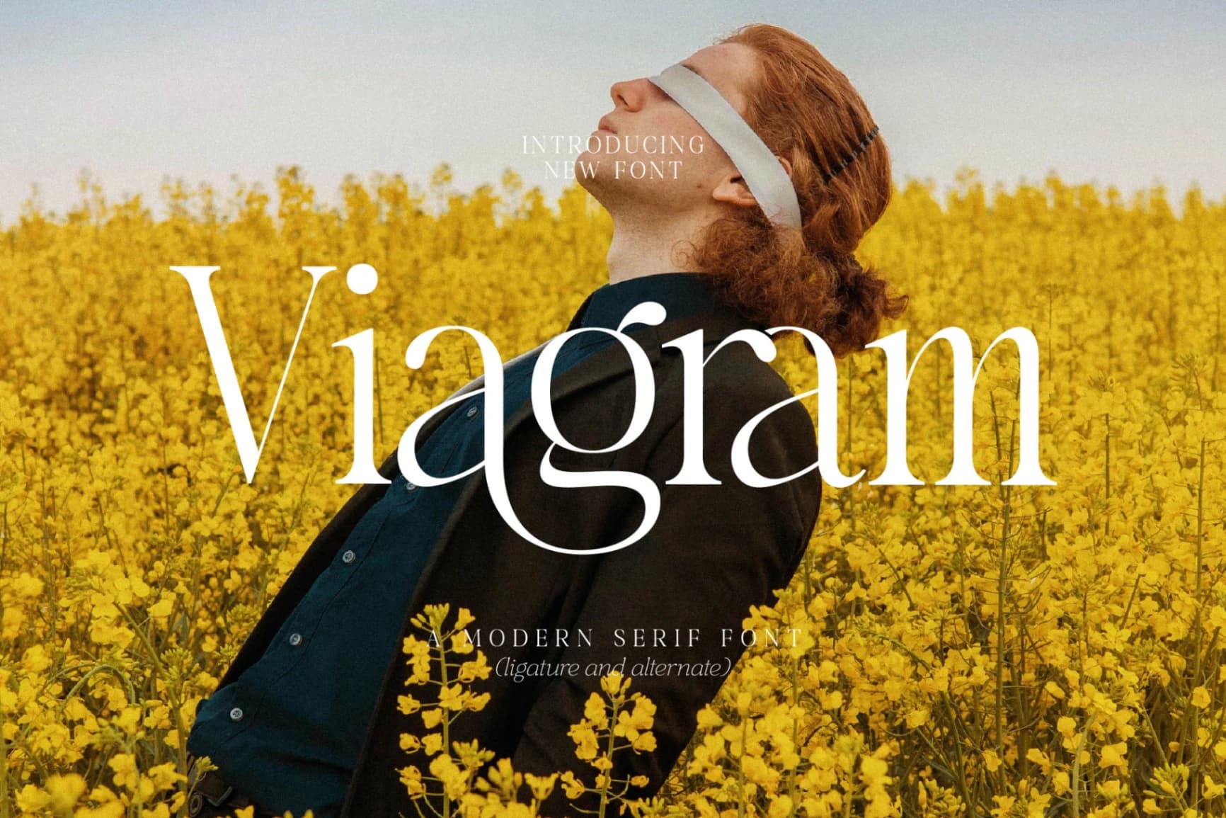 Preview of Viagram - Modern Serif Font font