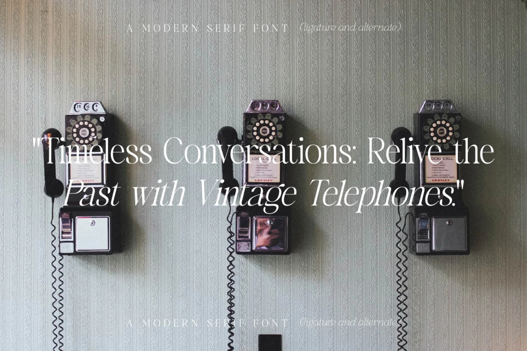 Preview 7 for Viagram - Modern Serif Font