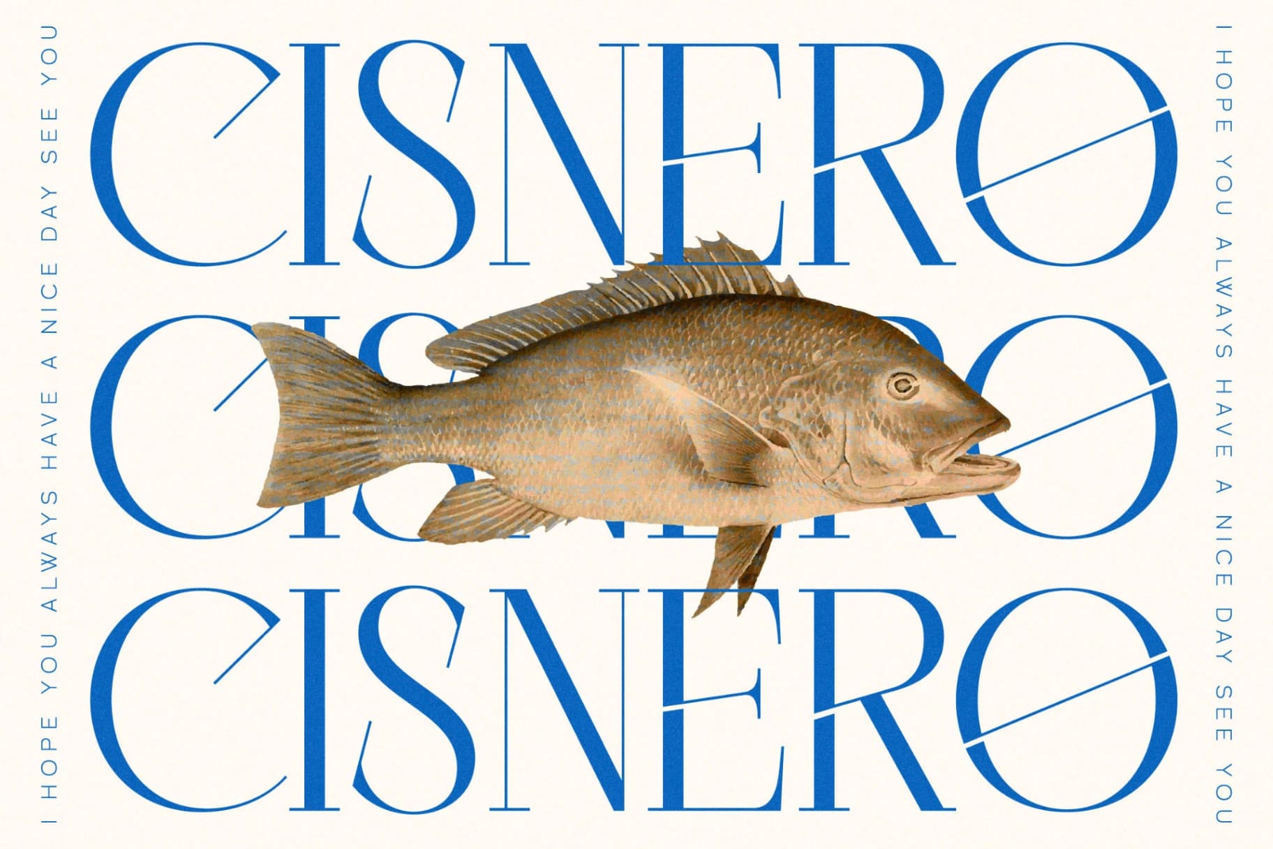 Preview 4 for Cisnero - A New Display Font