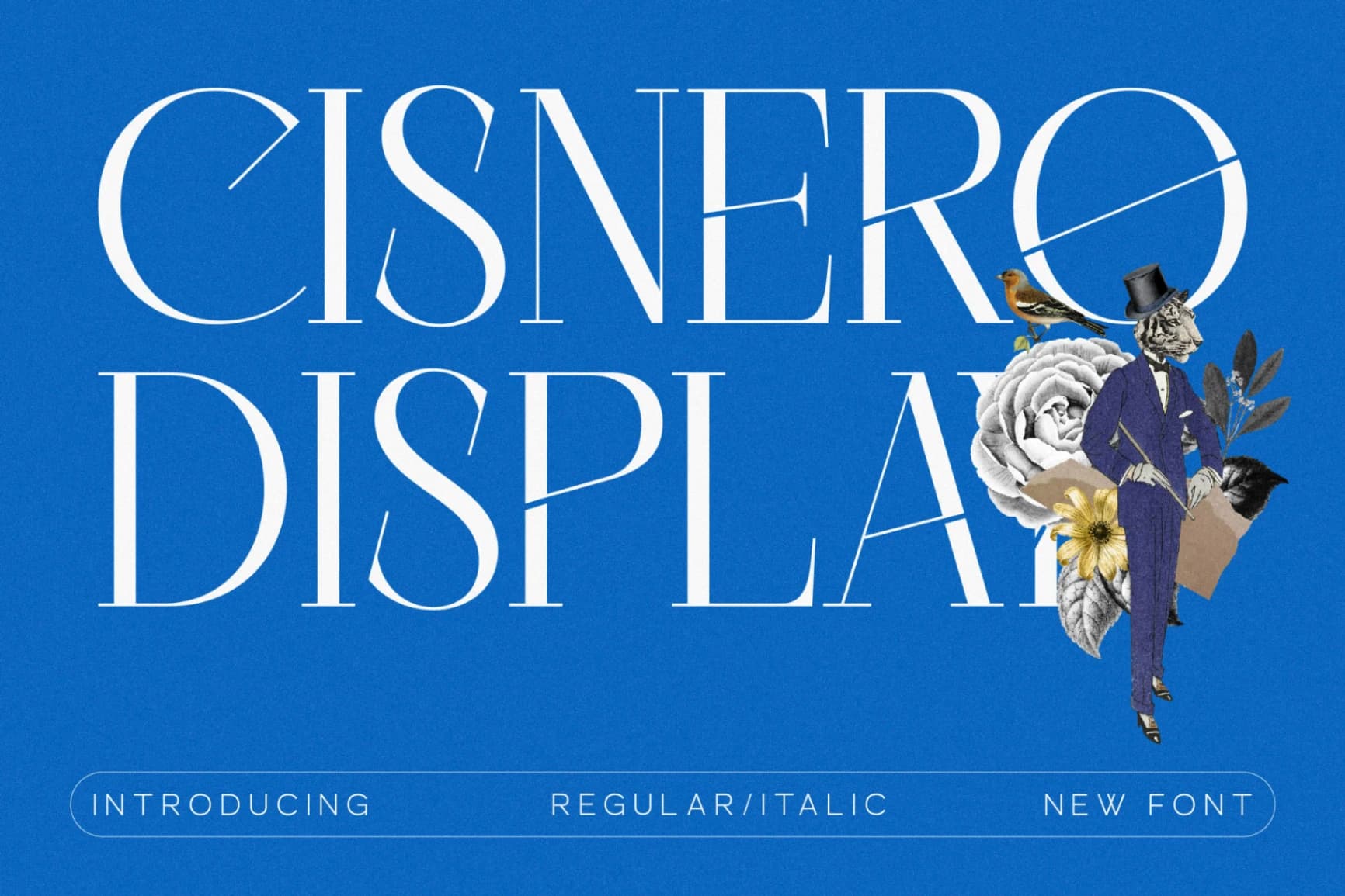 Preview of Cisnero - A New Display Font font