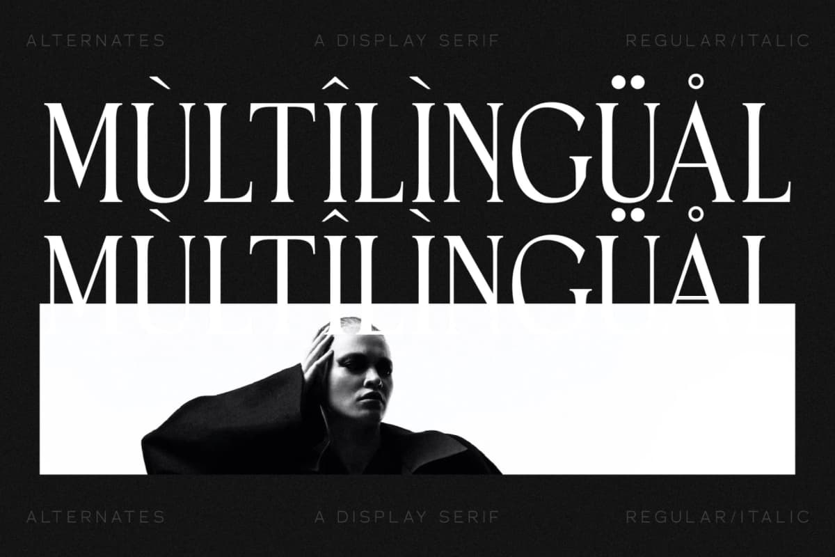Horge - A Display Serif Font font preview 12