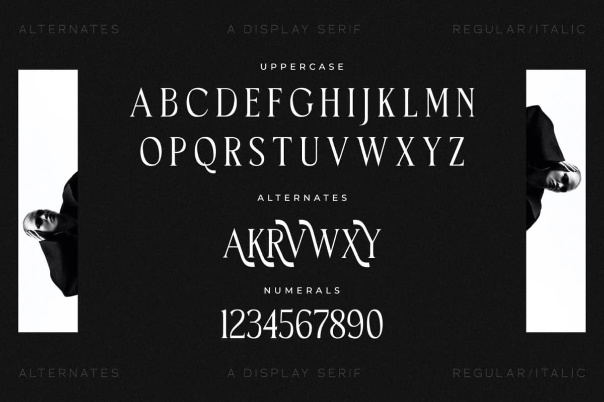 Horge - A Display Serif Font font preview 14