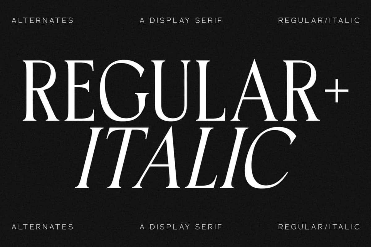 Horge - A Display Serif Font font preview 4