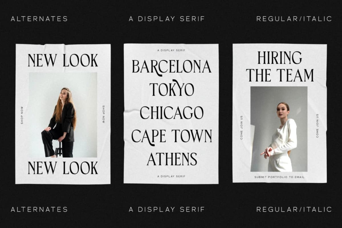 Horge - A Display Serif Font font preview 9