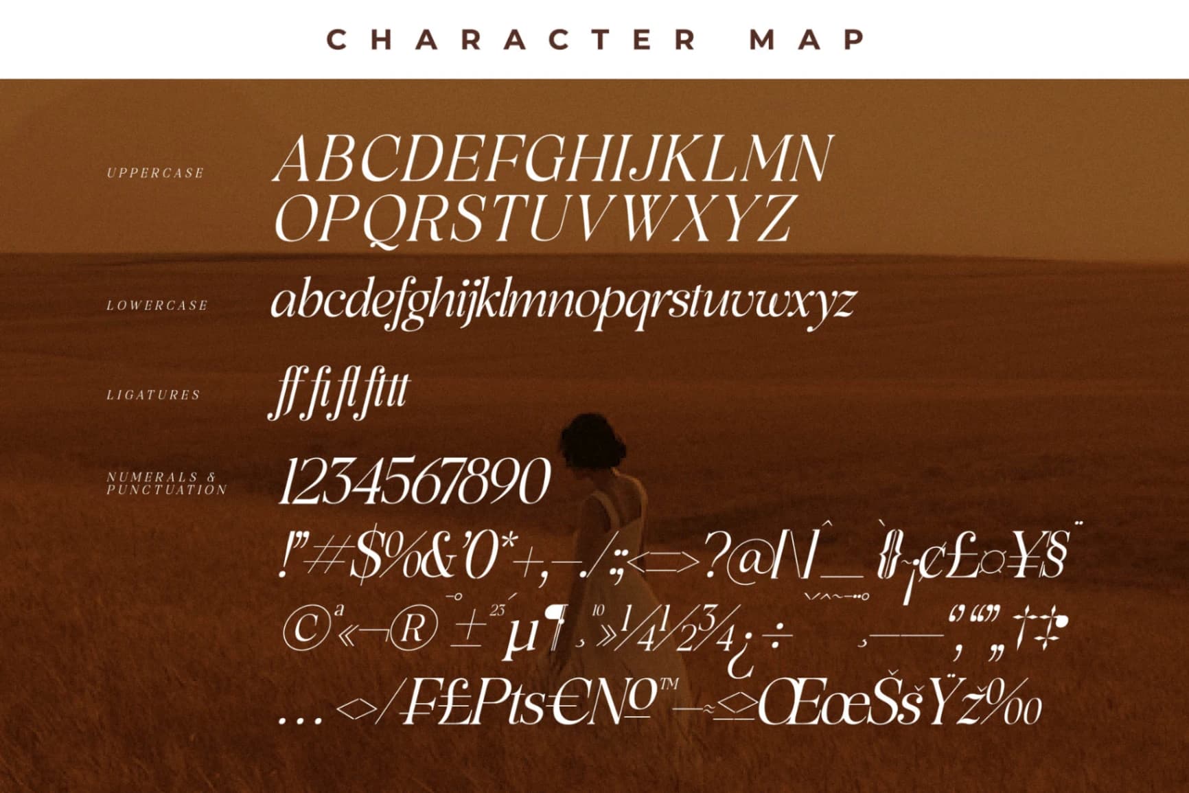 Preview 14 for Rowfinde - Modern Serif Font