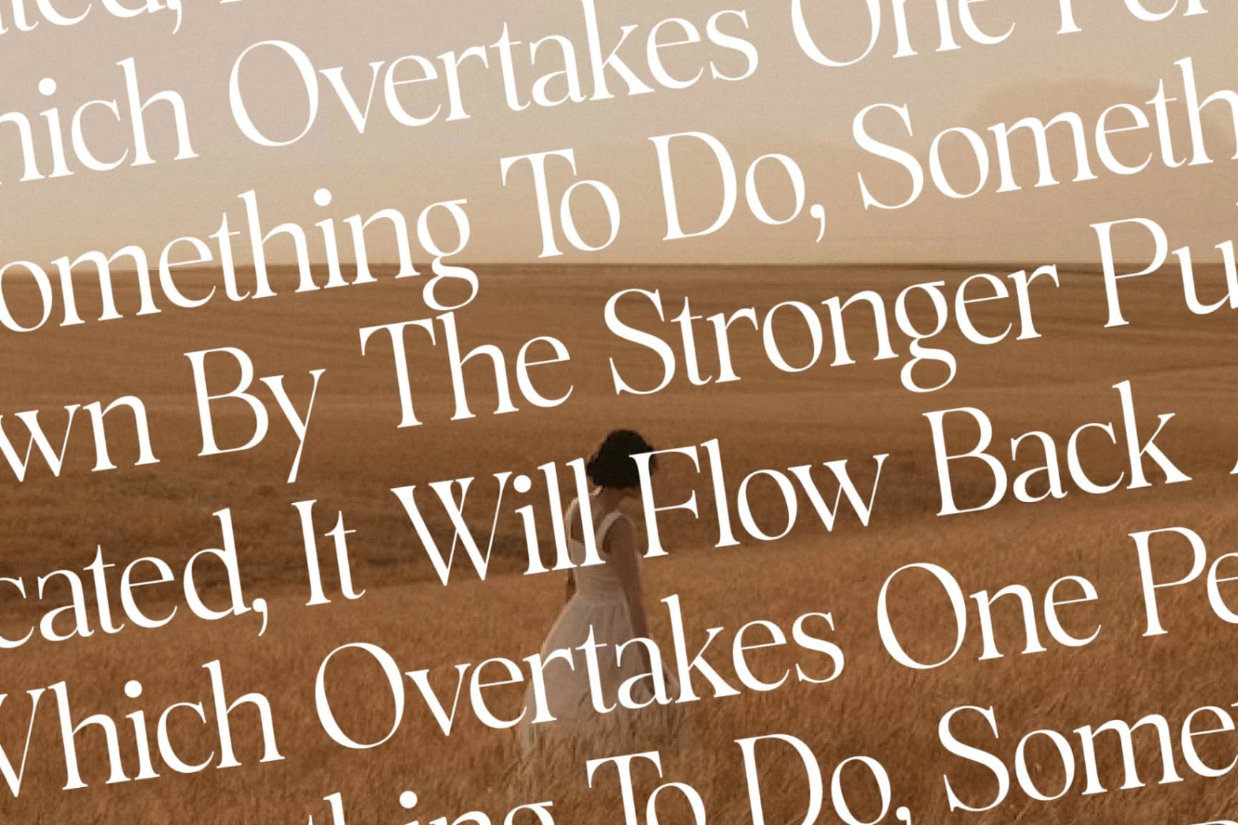 Preview 9 for Rowfinde - Modern Serif Font