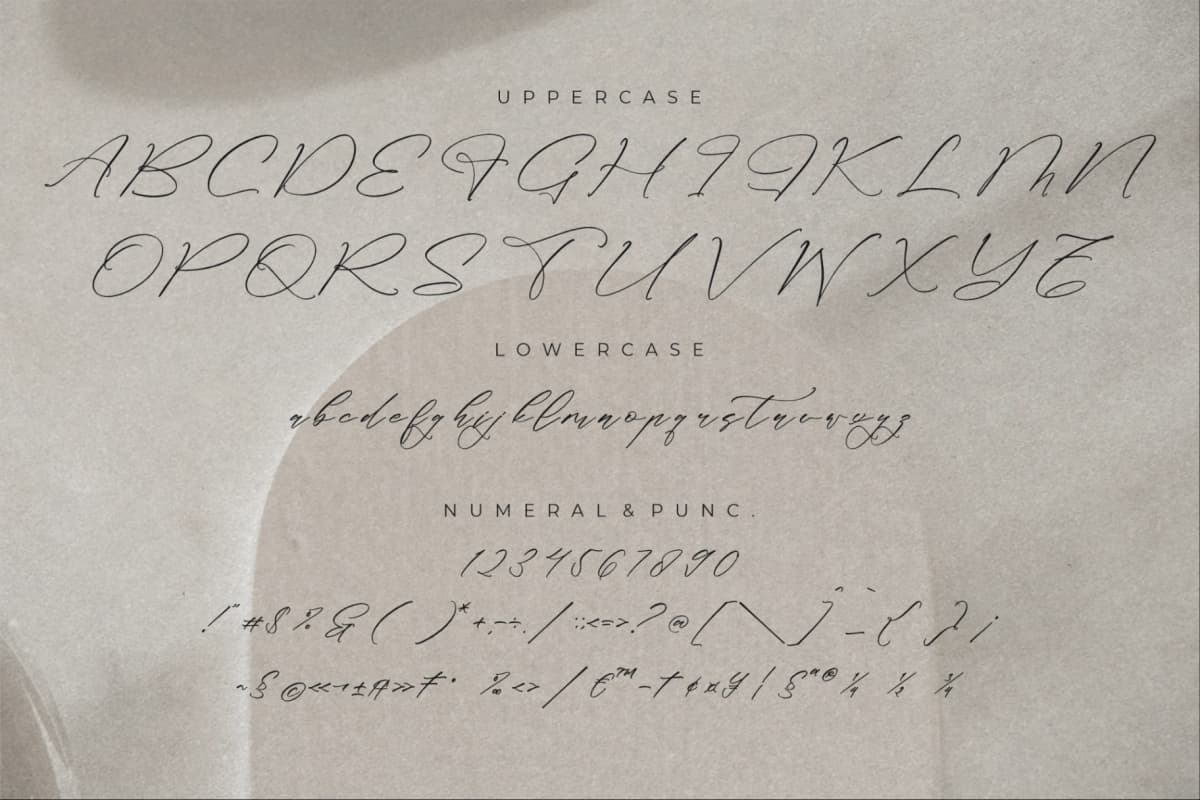 Preview 13 for Classthy Theriond - Chic Calligraphy Font