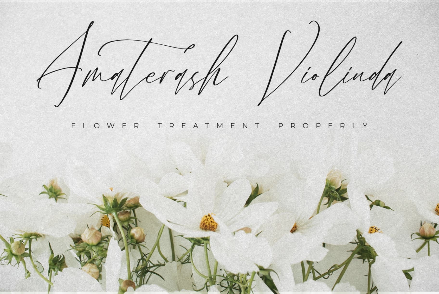 Preview 10 for Velodicals Holysmith - Luxury Script Font