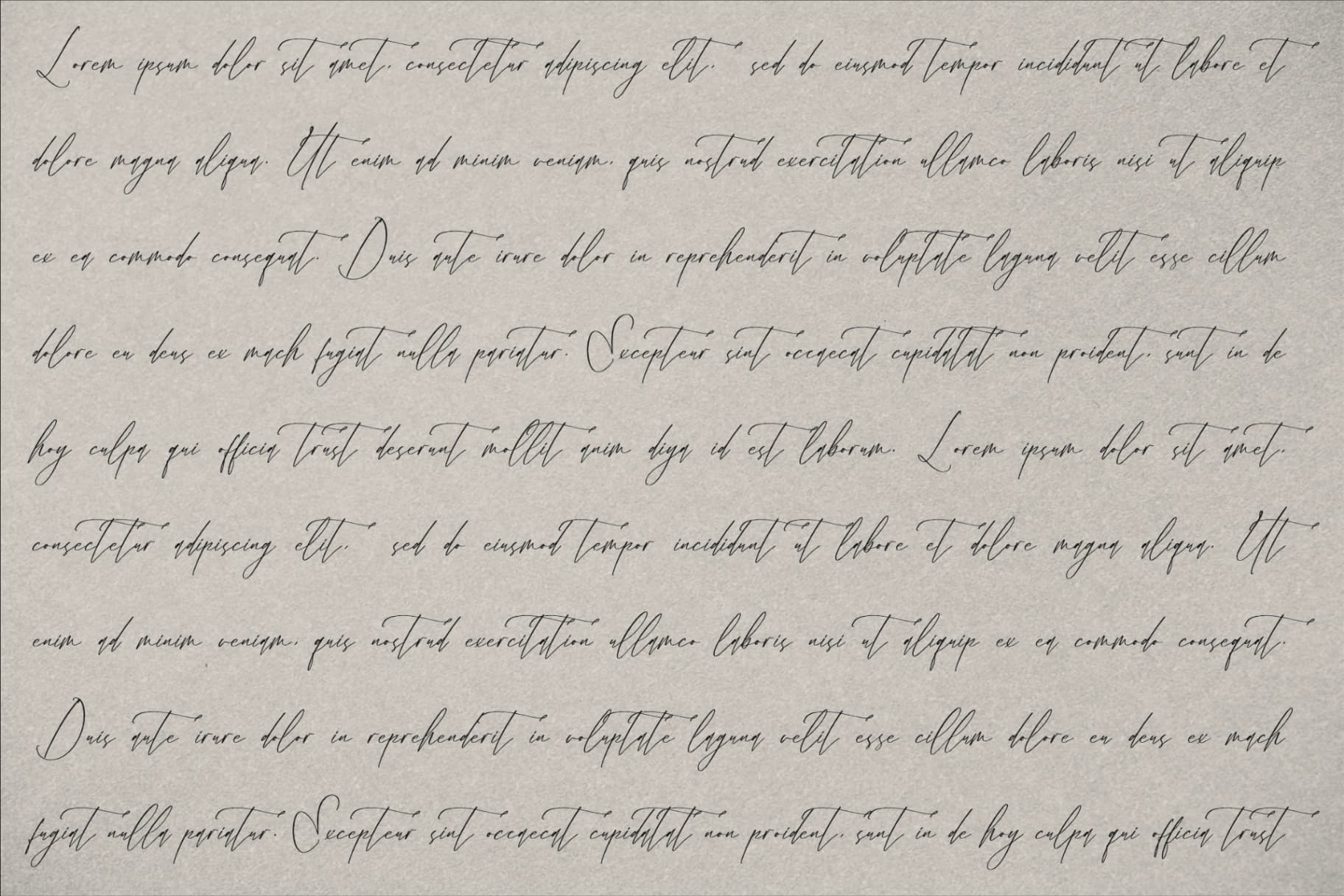 Preview 8 for Velodicals Holysmith - Luxury Script Font