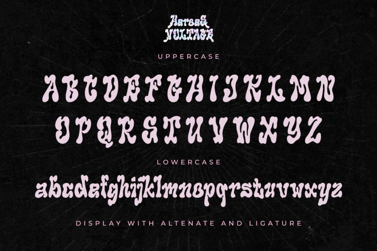 Preview 12 for Heroes Voltage - A Display Serif Font
