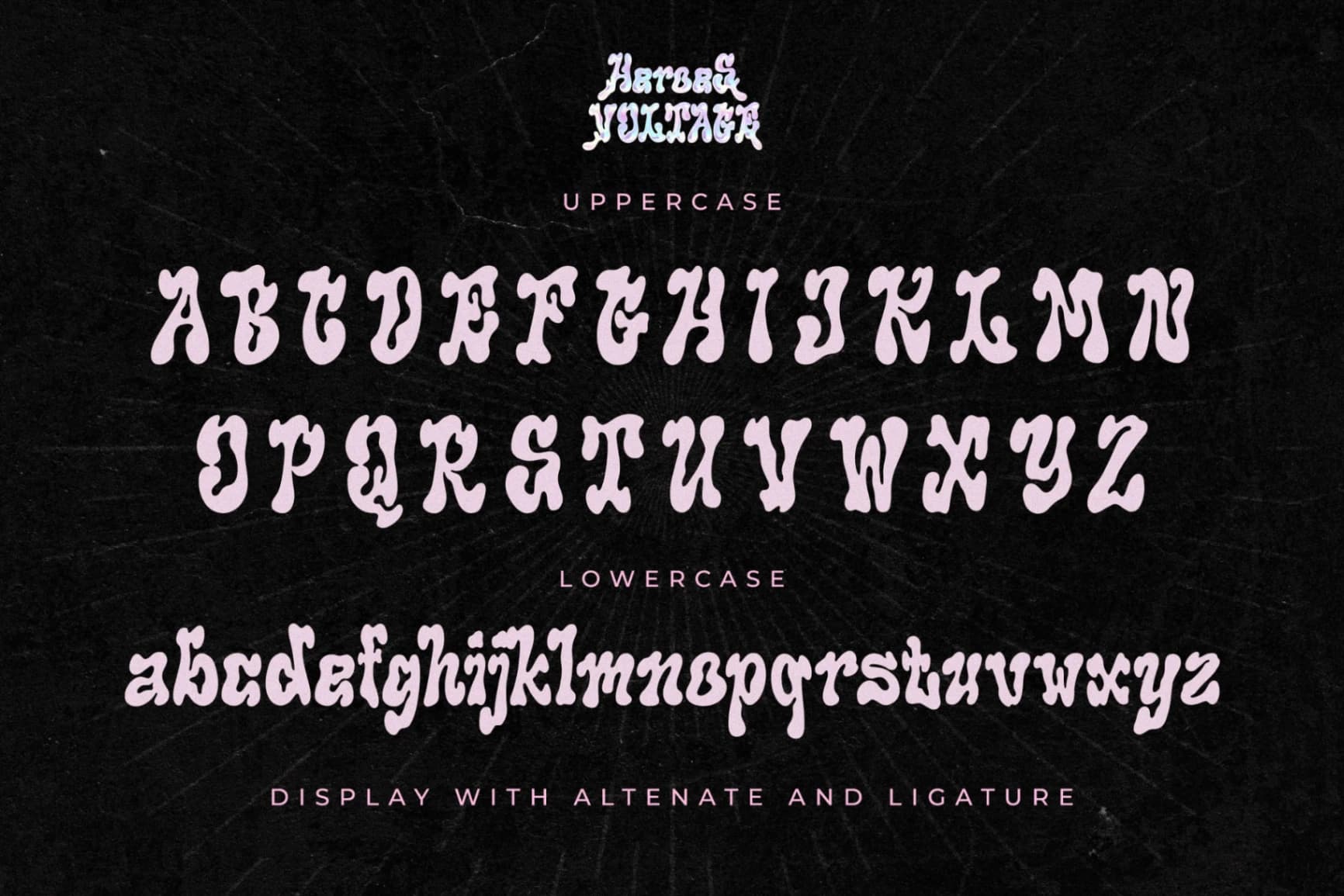 Preview 12 for Heroes Voltage - A Display Serif Font