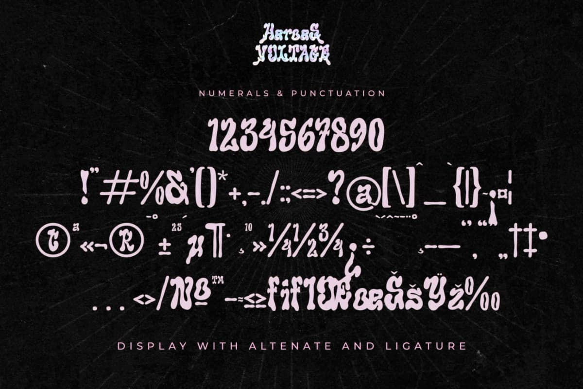 Preview 13 for Heroes Voltage - A Display Serif Font