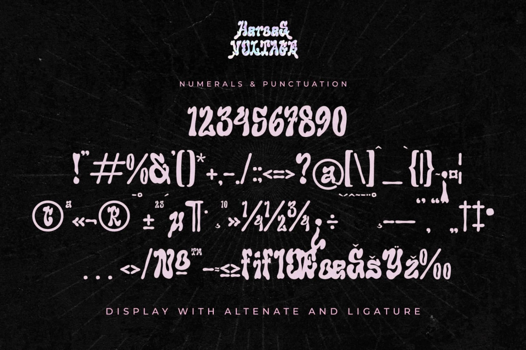 Preview 13 for Heroes Voltage - A Display Serif Font