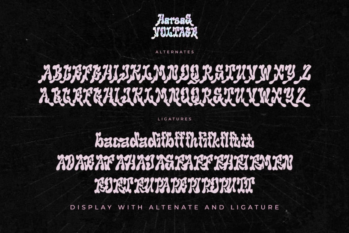 Preview 14 for Heroes Voltage - A Display Serif Font