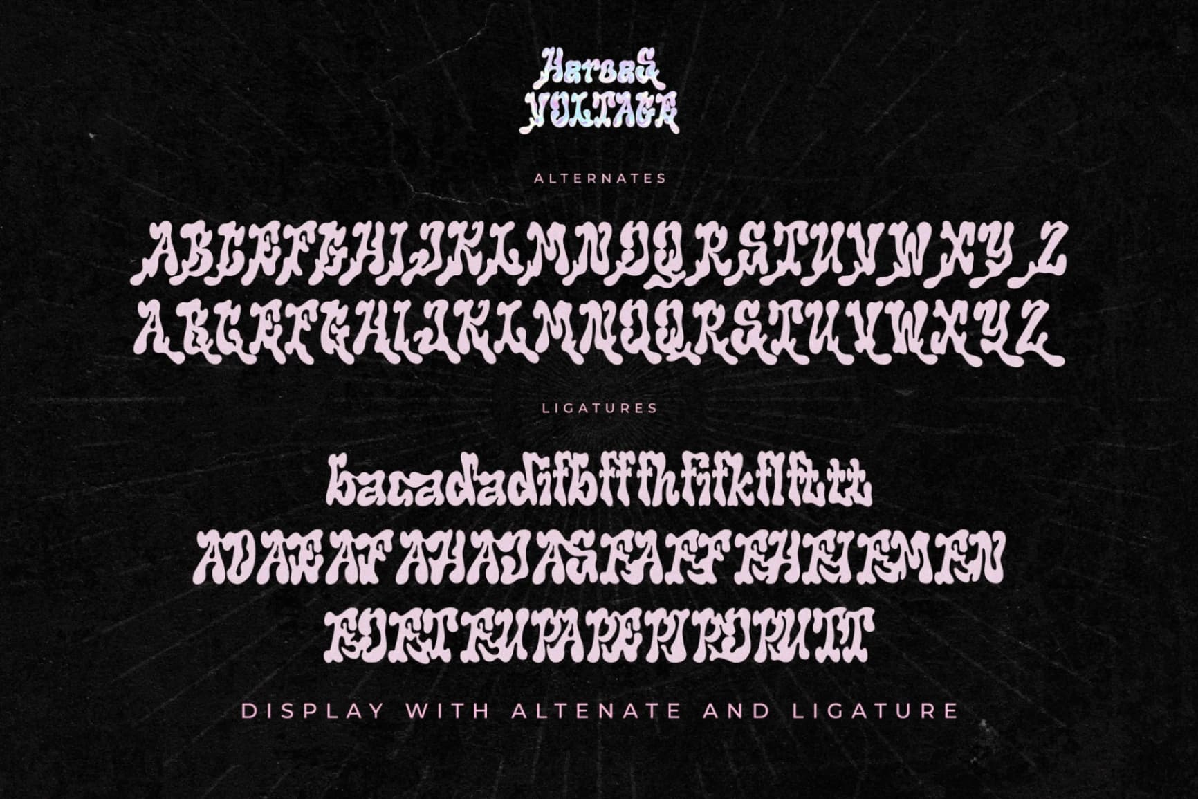 Preview 14 for Heroes Voltage - A Display Serif Font