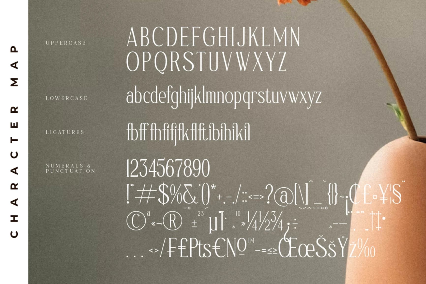 Preview 13 for Safilms Crawford - Modern Serif Font