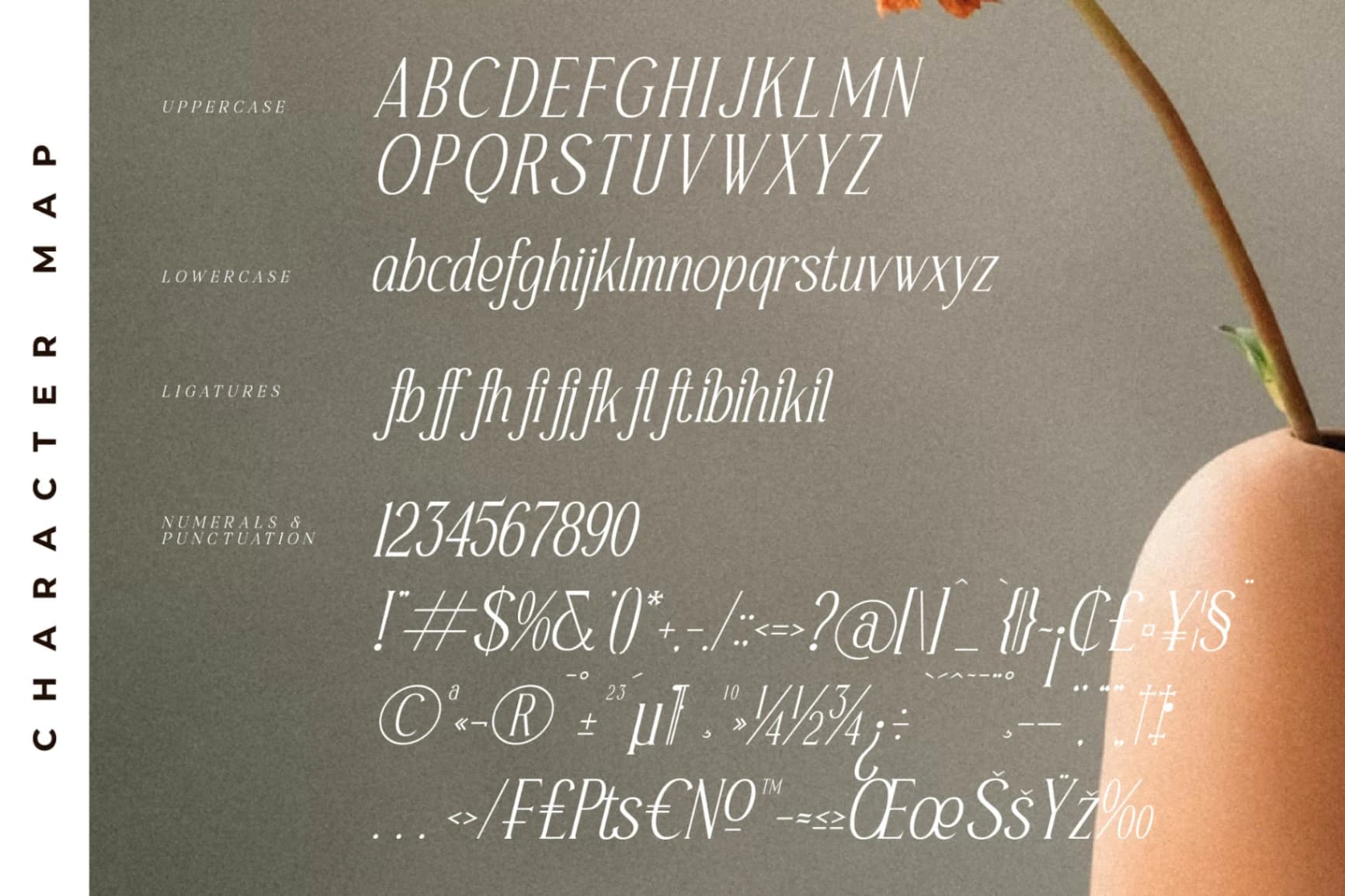 Preview 14 for Safilms Crawford - Modern Serif Font