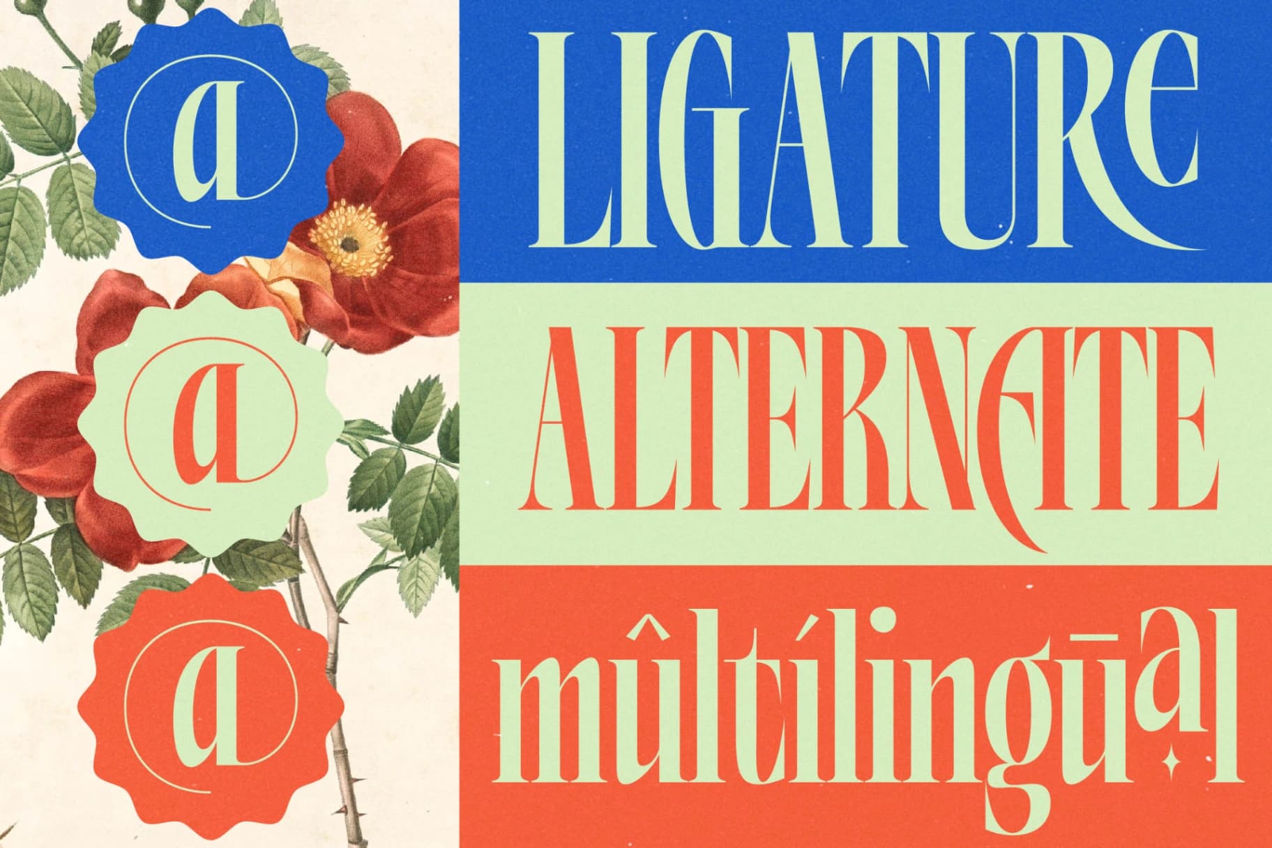Preview 7 for Alkemiogu - A New Serif Display Typeface