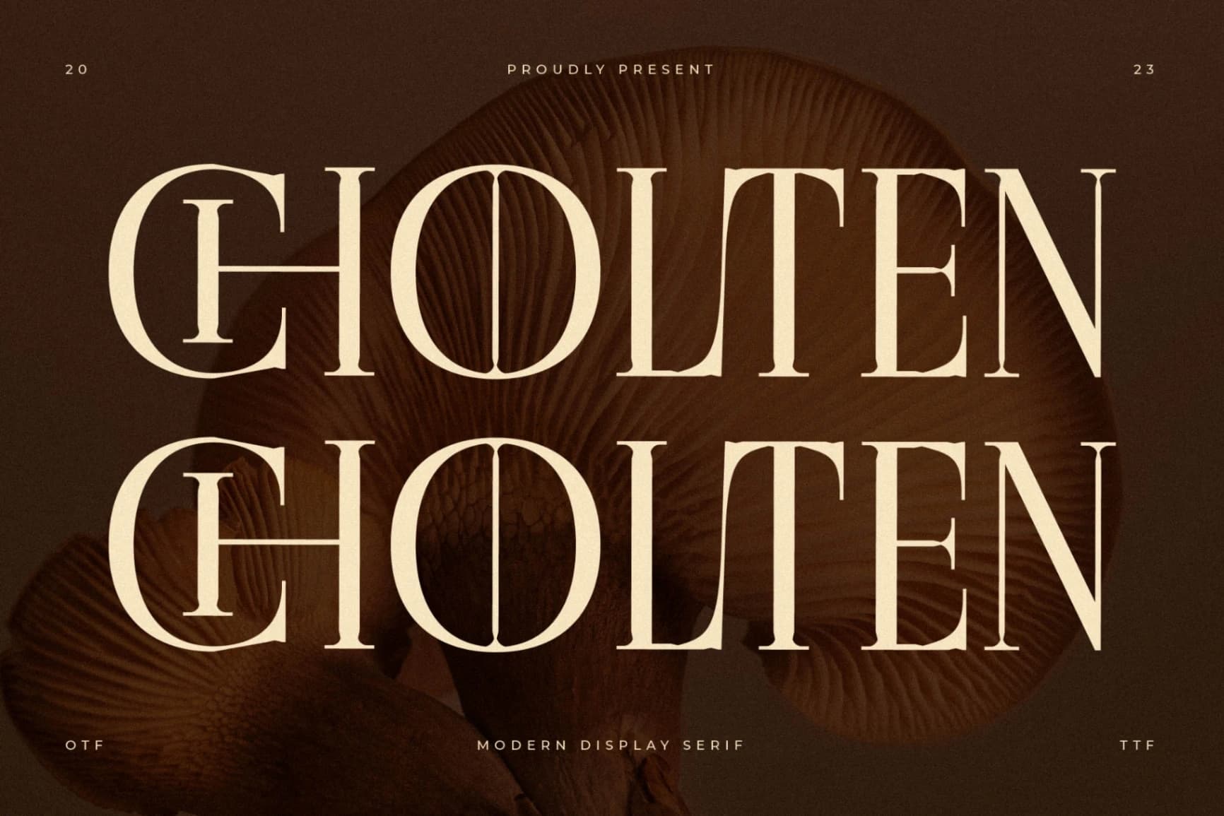 Preview of Cholten - Modern Display Serif Font font